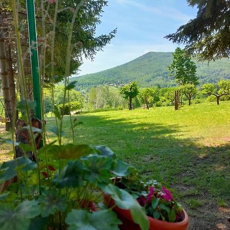 Vila Jezerski Raj Borsko Jezero Bagian luar foto