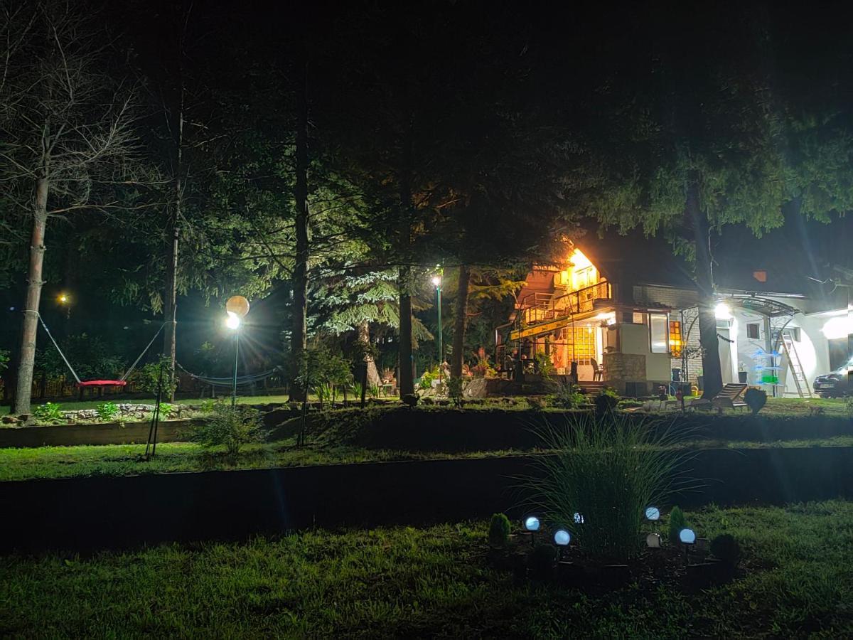 Vila Jezerski Raj Borsko Jezero Bagian luar foto