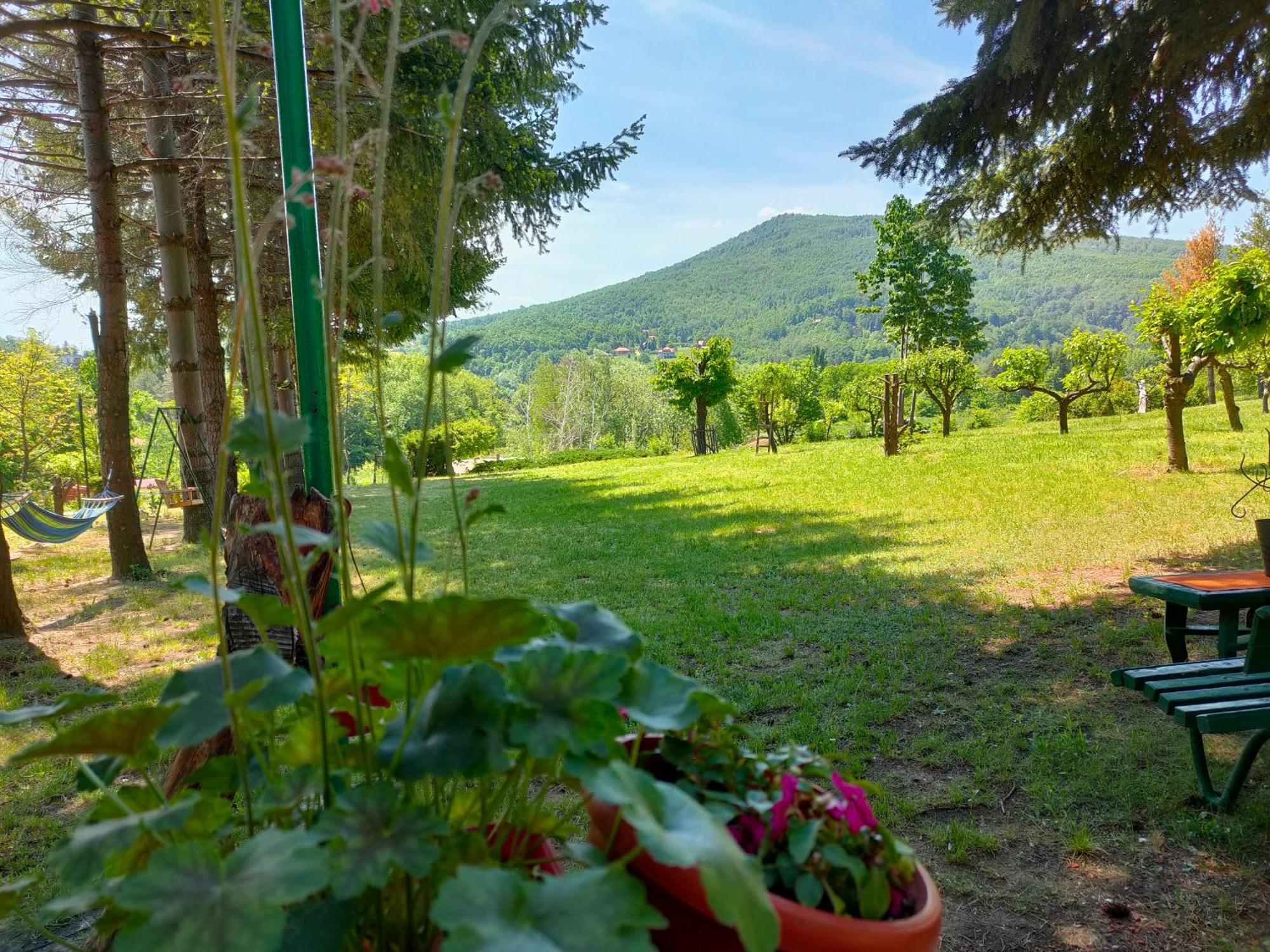 Vila Jezerski Raj Borsko Jezero Bagian luar foto